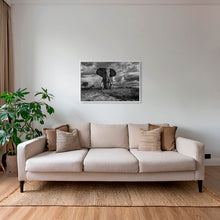 Charger l&#39;image dans la galerie, D&#39;ébène et d&#39;ivoire
