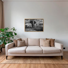 Charger l&#39;image dans la galerie, D&#39;ébène et d&#39;ivoire
