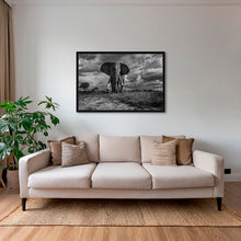 Charger l&#39;image dans la galerie, D&#39;ébène et d&#39;ivoire
