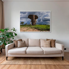 Charger l&#39;image dans la galerie, D&#39;ébène et d&#39;ivoire 2
