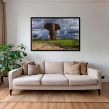 Charger l&#39;image dans la galerie, D&#39;ébène et d&#39;ivoire 2
