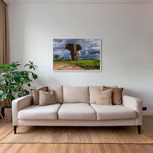 Charger l&#39;image dans la galerie, D&#39;ébène et d&#39;ivoire 2
