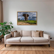 Charger l&#39;image dans la galerie, D&#39;ébène et d&#39;ivoire 2
