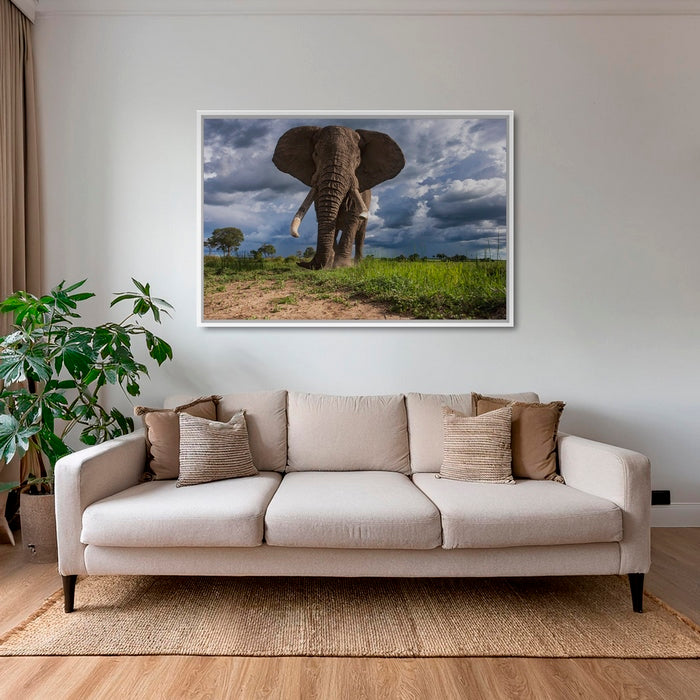 La charge de l'éléphant