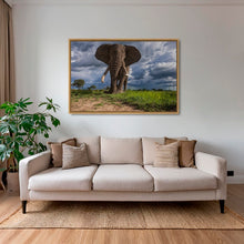 Charger l&#39;image dans la galerie, La charge de l&#39;éléphant
