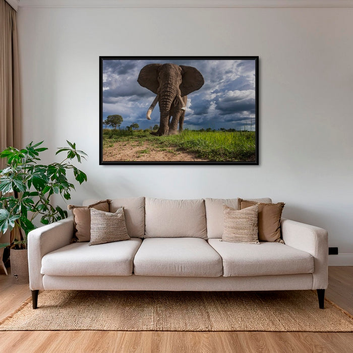 La charge de l'éléphant