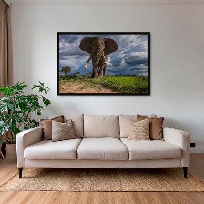La charge de l'éléphant