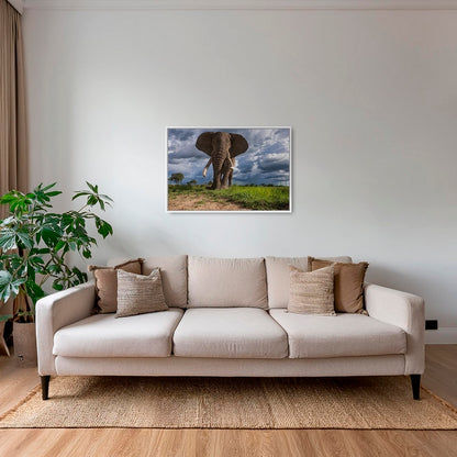 La charge de l'éléphant