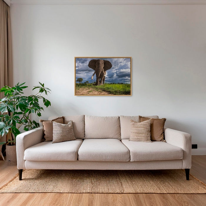 La charge de l'éléphant