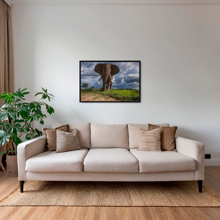 La charge de l'éléphant
