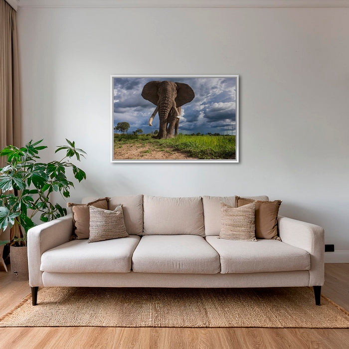 La charge de l'éléphant