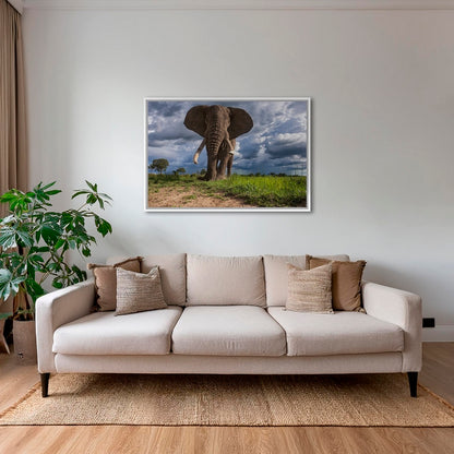 La charge de l'éléphant