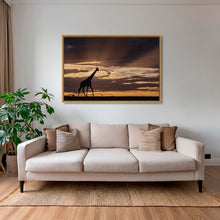 Charger l&#39;image dans la galerie, Lumière sur un géant
