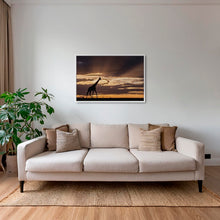 Charger l&#39;image dans la galerie, Lumière sur un géant
