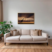 Charger l&#39;image dans la galerie, Lumière sur un géant
