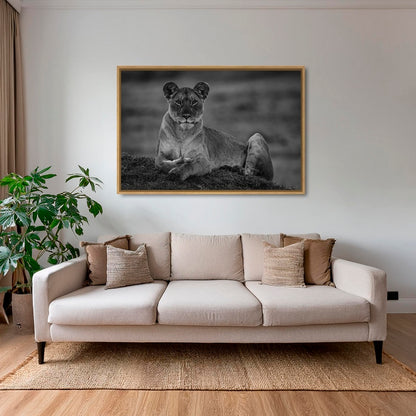 La reine de la savane