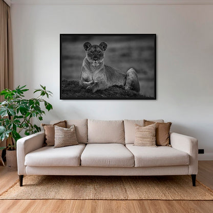 La reine de la savane