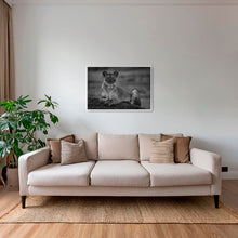 Charger l&#39;image dans la galerie, La reine de la savane
