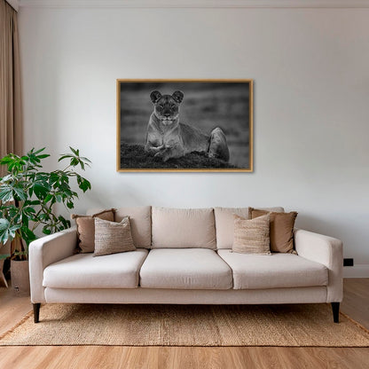 La reine de la savane