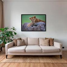 Charger l&#39;image dans la galerie, Tranquille sur mon arbre
