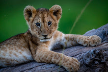 Charger l&#39;image dans la galerie, Prendre la pose
