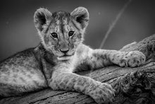 Charger l&#39;image dans la galerie, Prendre la pose 2
