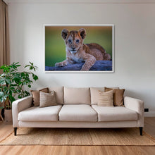 Charger l&#39;image dans la galerie, Féline innocence
