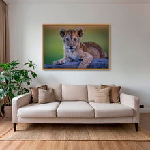 Charger l&#39;image dans la galerie, Féline innocence
