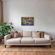 Charger l&#39;image dans la galerie, Féline innocence
