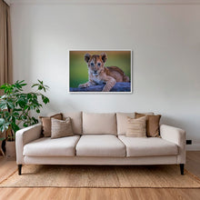 Charger l&#39;image dans la galerie, Féline innocence
