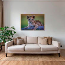 Charger l&#39;image dans la galerie, Féline innocence
