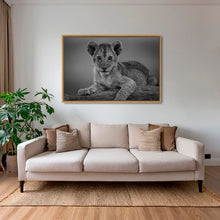 Charger l&#39;image dans la galerie, Féline innocence 2
