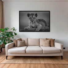 Charger l&#39;image dans la galerie, Féline innocence 2
