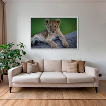 Charger l&#39;image dans la galerie, Roi en devenir
