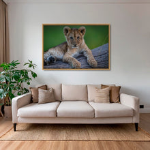 Charger l&#39;image dans la galerie, Roi en devenir
