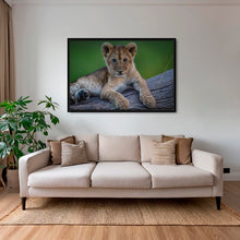 Charger l&#39;image dans la galerie, Roi en devenir
