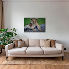 Charger l&#39;image dans la galerie, Roi en devenir
