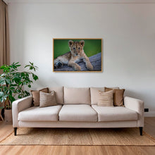 Charger l&#39;image dans la galerie, Roi en devenir
