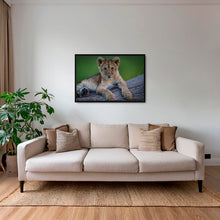 Charger l&#39;image dans la galerie, Roi en devenir
