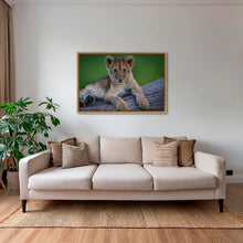 Charger l&#39;image dans la galerie, Roi en devenir
