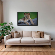 Charger l&#39;image dans la galerie, Roi en devenir
