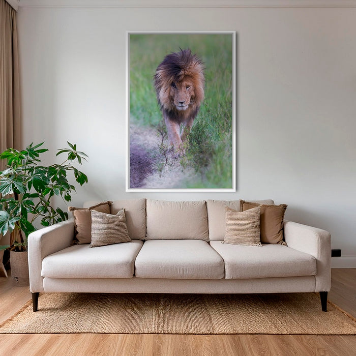 Le Roi en couleurs