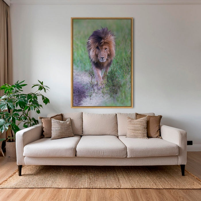 Le Roi en couleurs