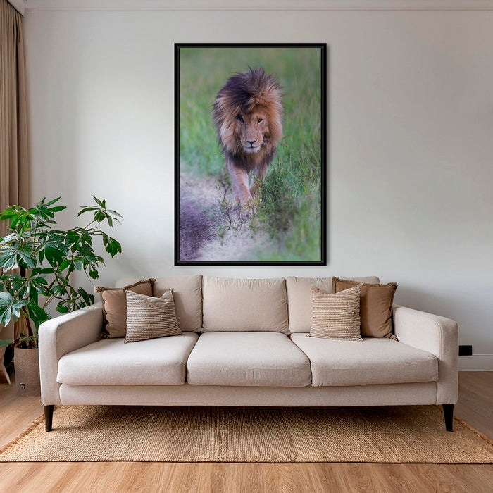 Le Roi en couleurs