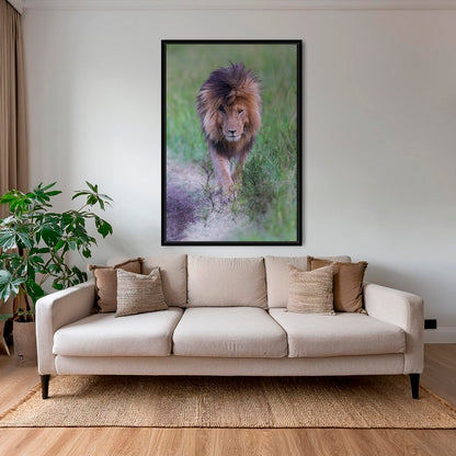 Le Roi en couleurs