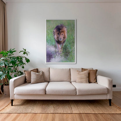 Le Roi en couleurs