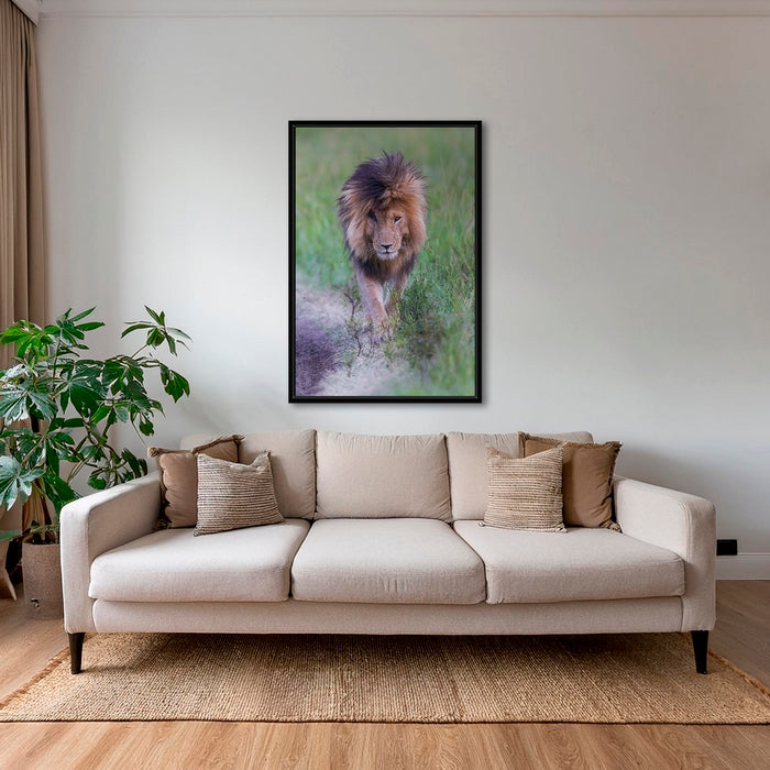 Le Roi en couleurs