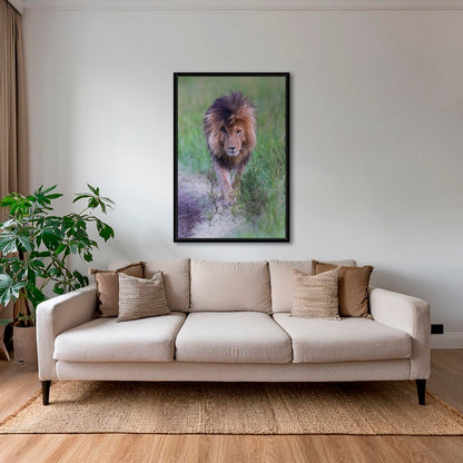 Le Roi en couleurs