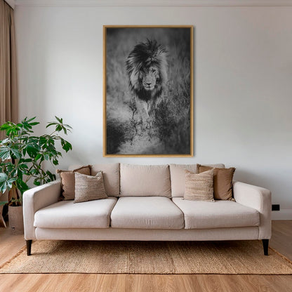 Le Roi