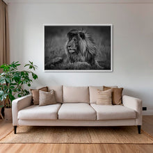 Charger l&#39;image dans la galerie, Le brushing du Roi
